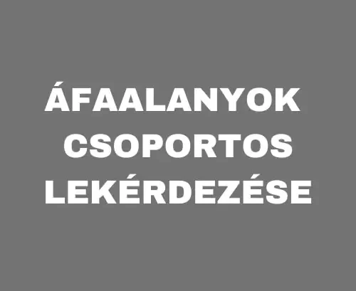 Áfaalanyok Csoportos Lekérdezése – Fedezd Fel Könnyedén!