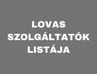 Lovas Szolgáltatók Listája – Fedezd Fel a Legjobb Lehetőségeket!