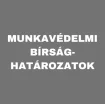 Munkavédelmi Bírsághatározatok – Kik és Miért Kaptak Büntetést?